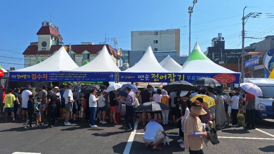 사천시 삼천포항 자연산 전어축제 3