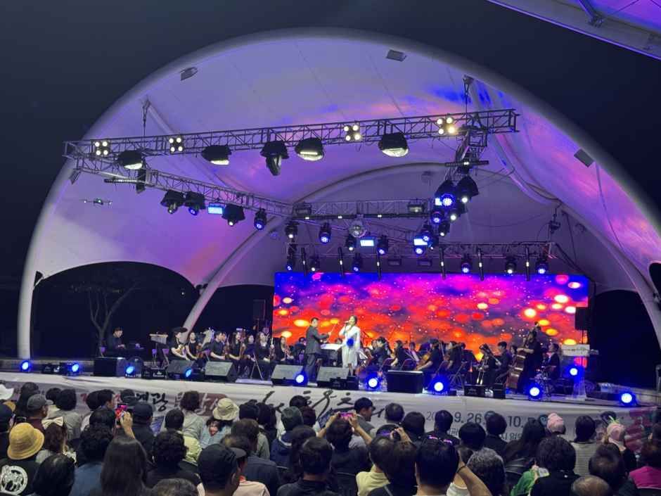 영광불갑산상사화축제 5