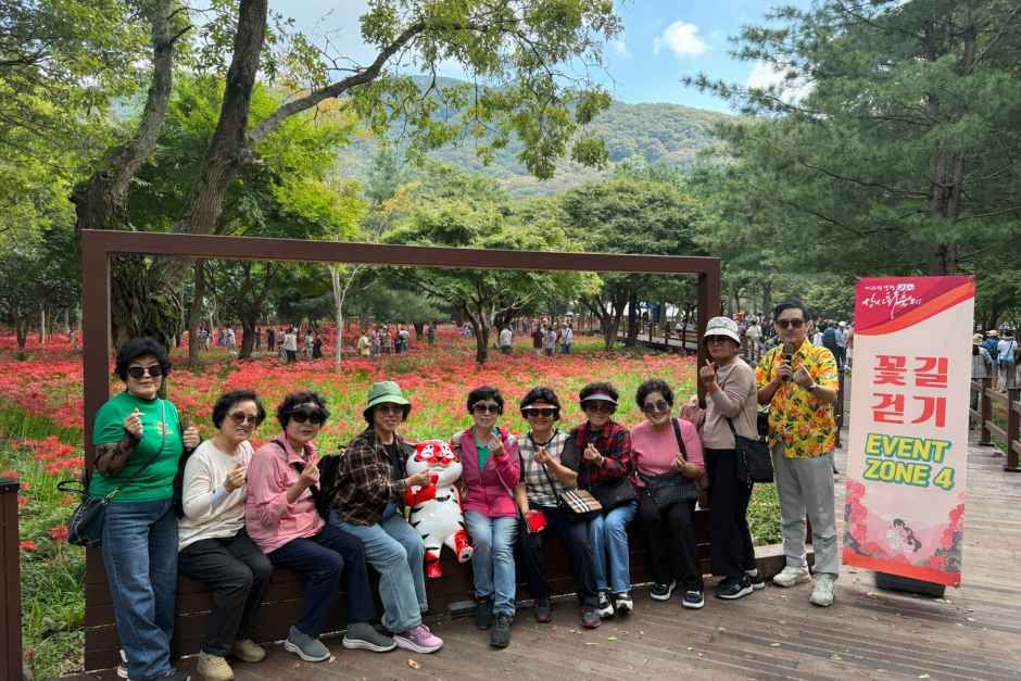 영광불갑산상사화축제 6