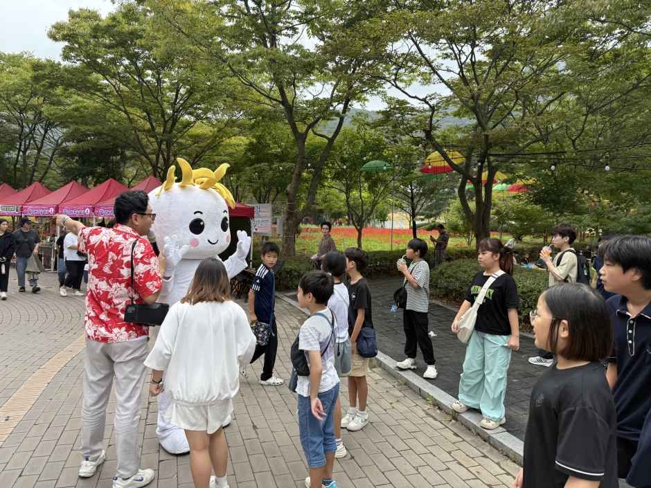 영광불갑산상사화축제 7