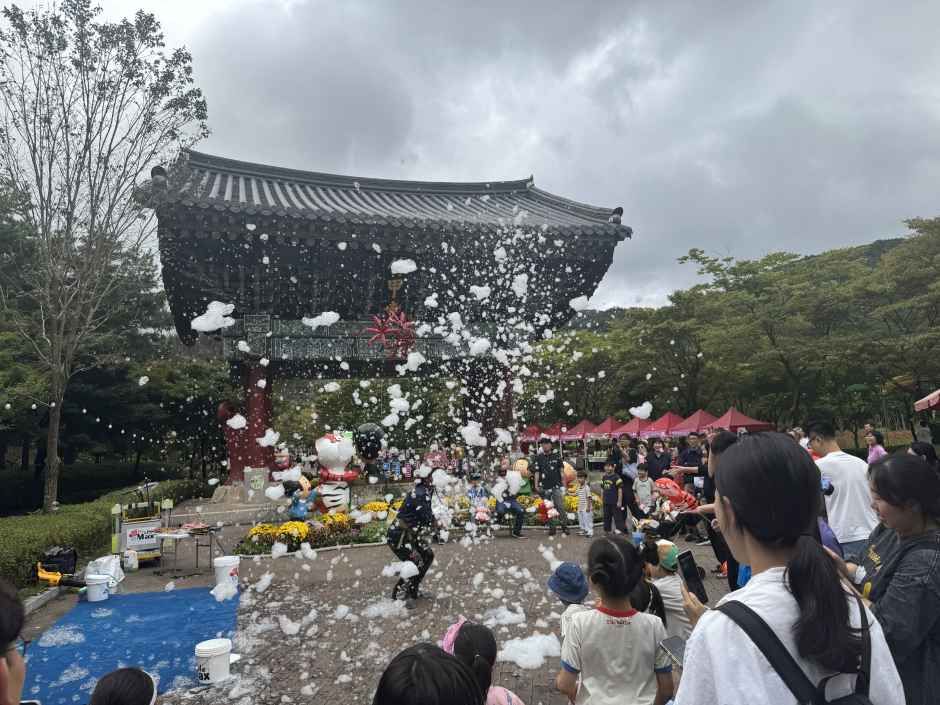 영광불갑산상사화축제 4