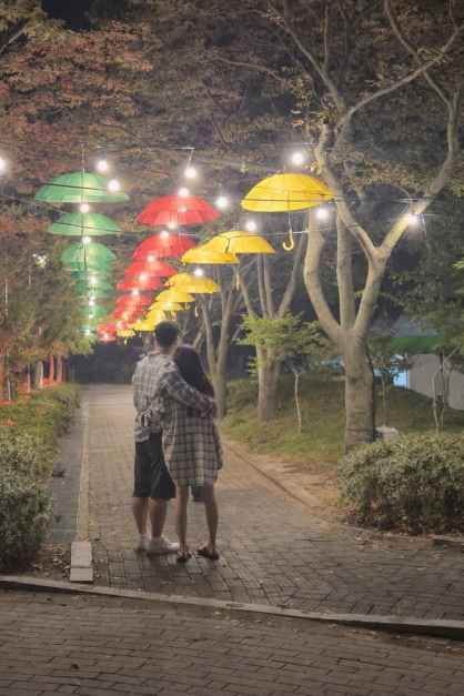 영광불갑산상사화축제 8