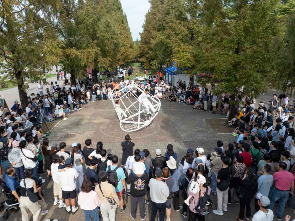 Goyang Lake Arts Festival 6