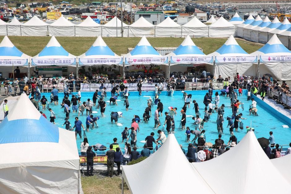 서천 자연산 광어 도미 축제