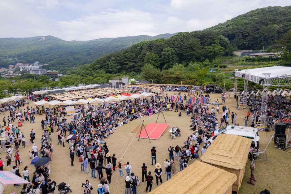 金井山城祭り 3