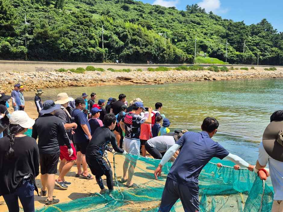 거문도백도 은빛바다체험행사 4