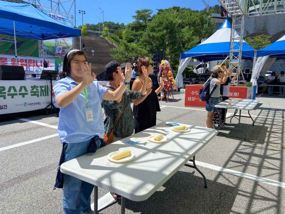 洪川モチトウモロコシ祭り