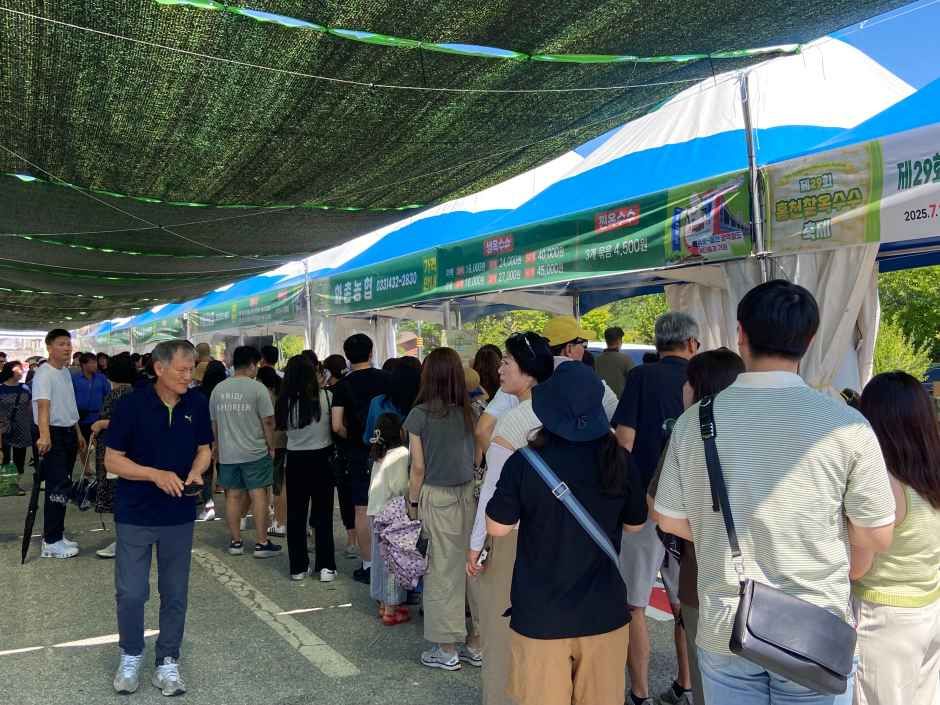 洪川モチトウモロコシ祭り 5
