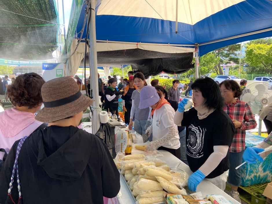 洪川モチトウモロコシ祭り 9