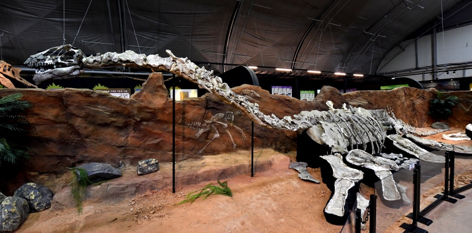 Gyeongnam Goseong Dinosaur World Expo 7