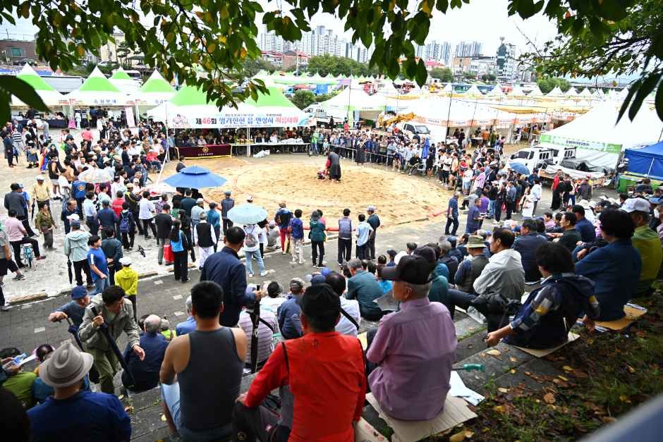 生居鎮川文化祭り 2