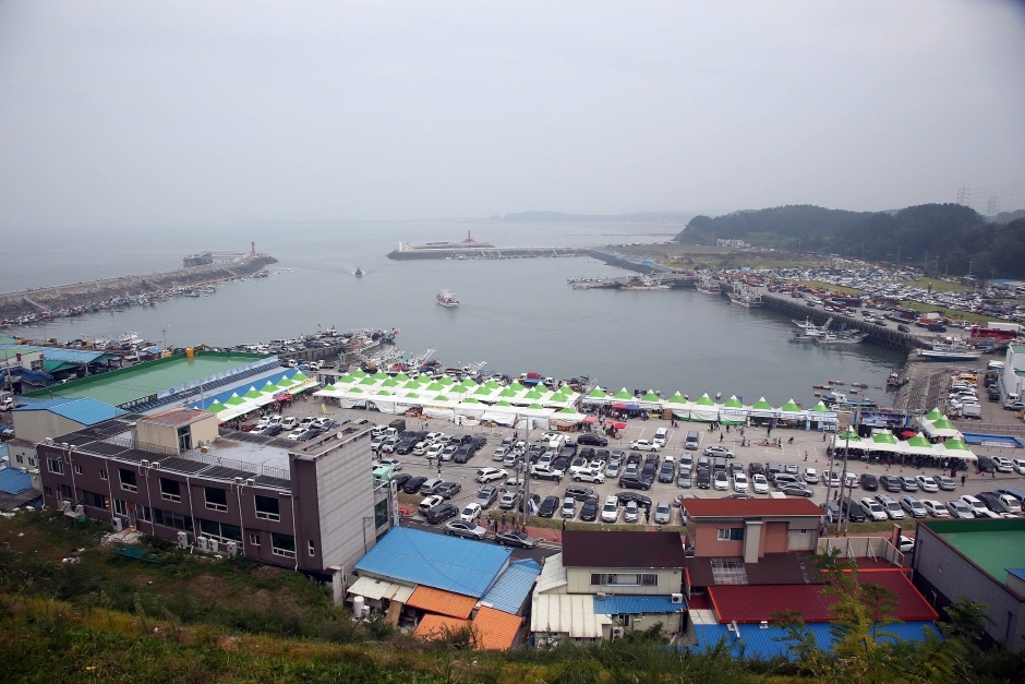 舒川洪园港野生钱鱼花蟹节 2