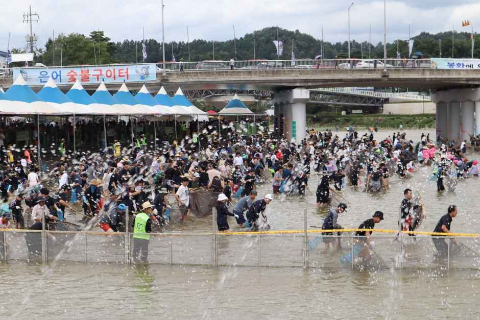 봉화은어축제 5
