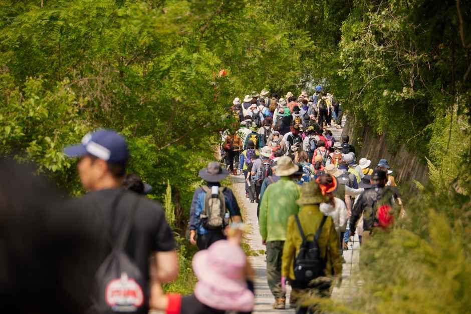 荣州小白山杜鹃花节