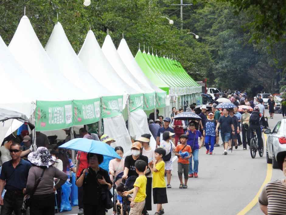 咸平母岳山彼岸花祭り 6