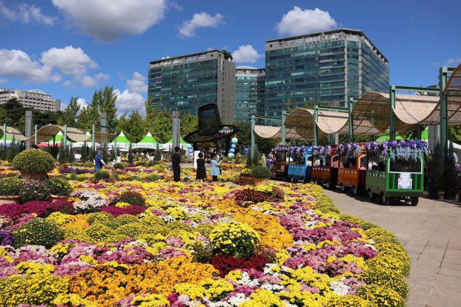 Goyang Autumn Flower Festival 3