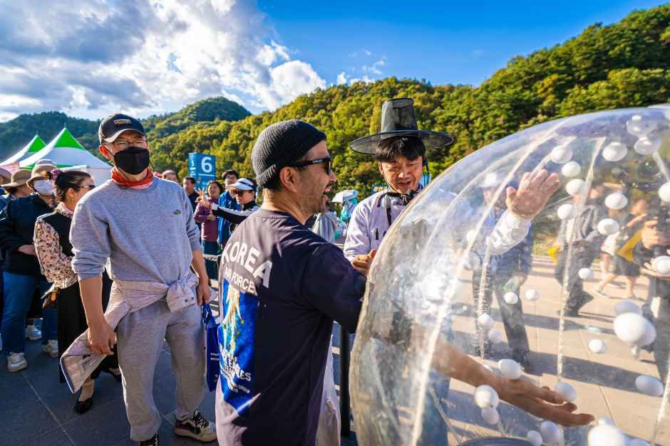 横城韓牛祭り 7