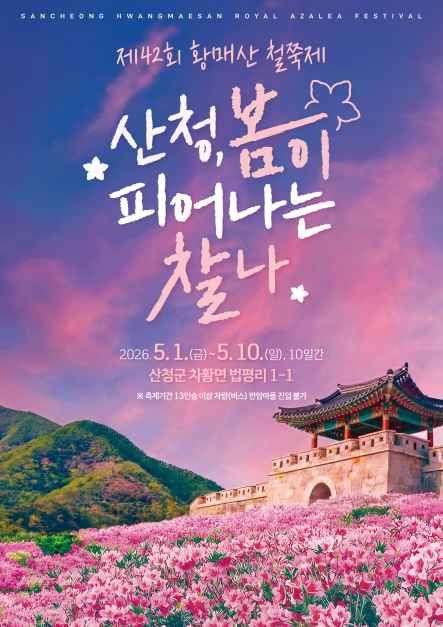 산청황매산철쭉제 8