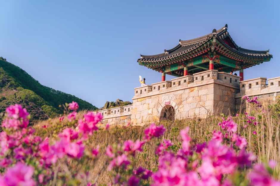 산청황매산철쭉제 5