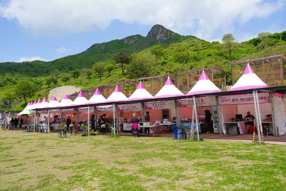 산청황매산철쭉제 3