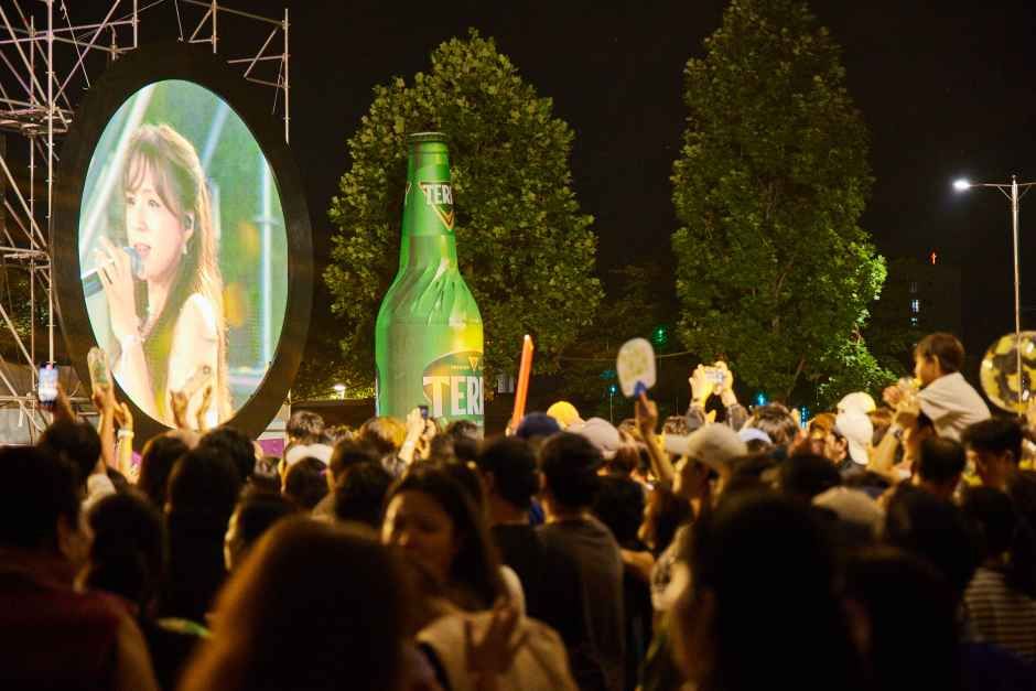 洪川江星空音楽ビール祭り
