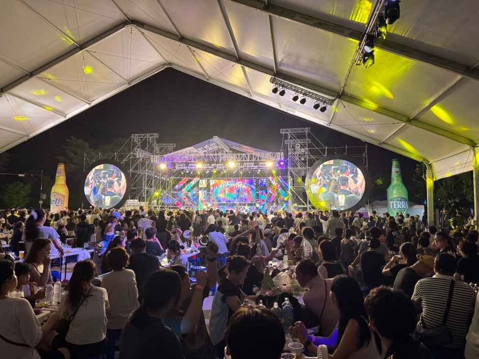 洪川江星空音楽ビール祭り 8