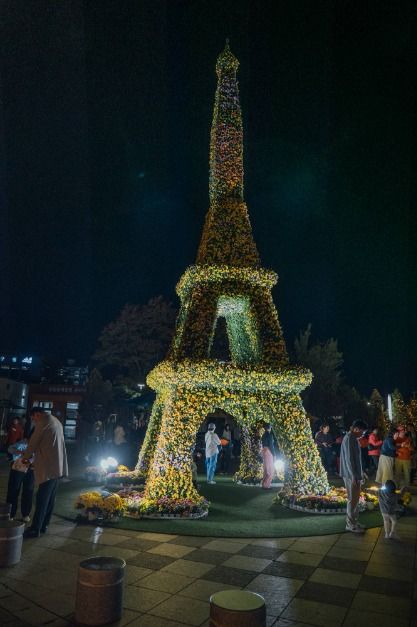 儒城菊祭り