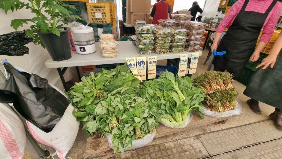 Hongcheon Wild Greens Festival 7