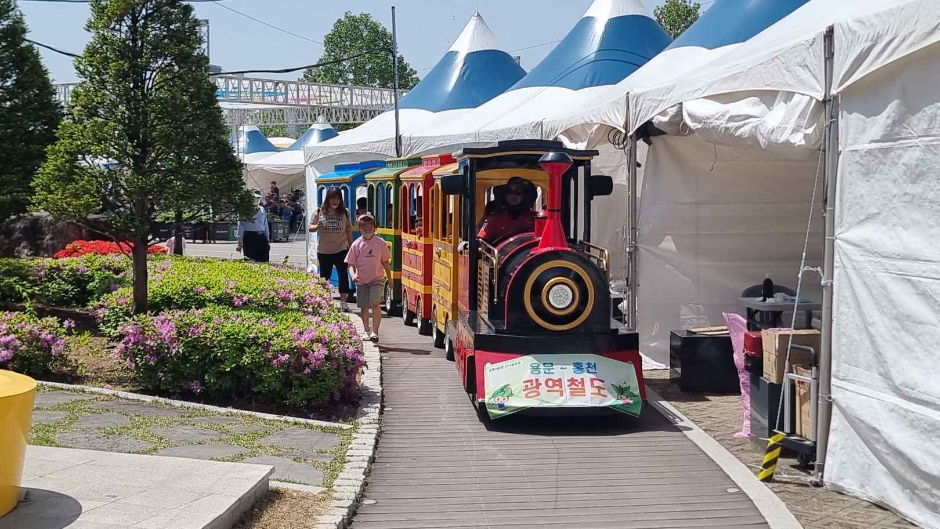 Hongcheon Wild Greens Festival 3