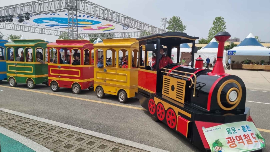 Hongcheon Wild Greens Festival 9