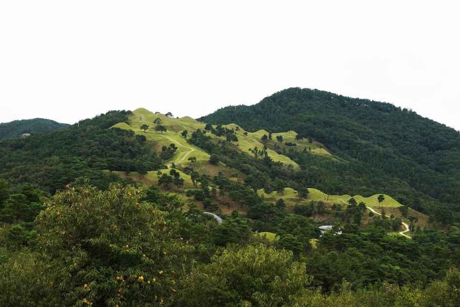 세계유산축전 6
