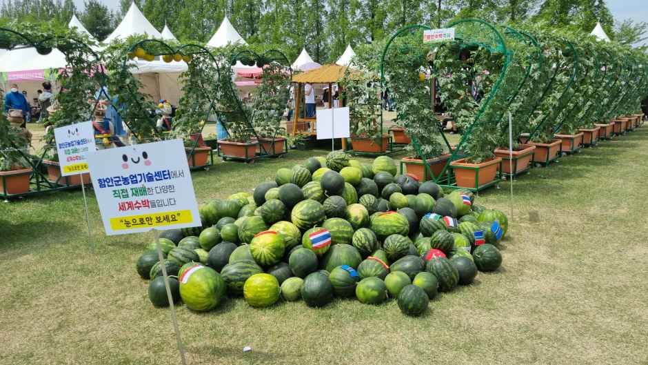 咸安世界西瓜节