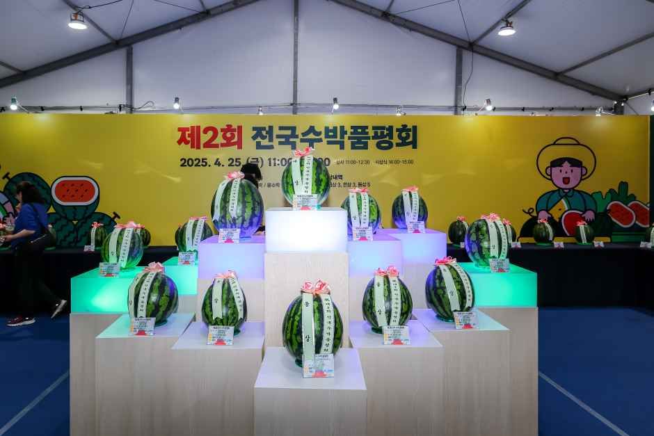 함안세계수박축제 5