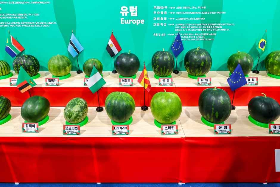 함안세계수박축제 2