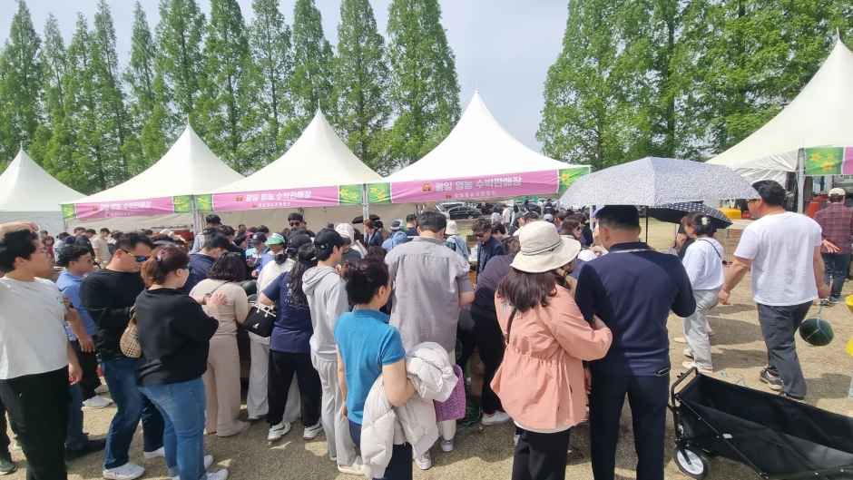 함안세계수박축제 7