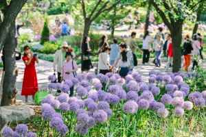 Seoul International Garden Expo 1