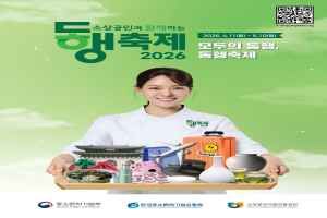 Donghaeng Festival 4