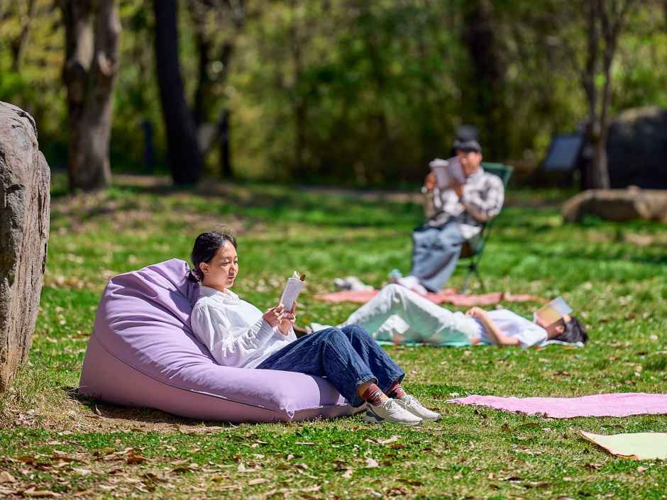 东区无等山人文庆典