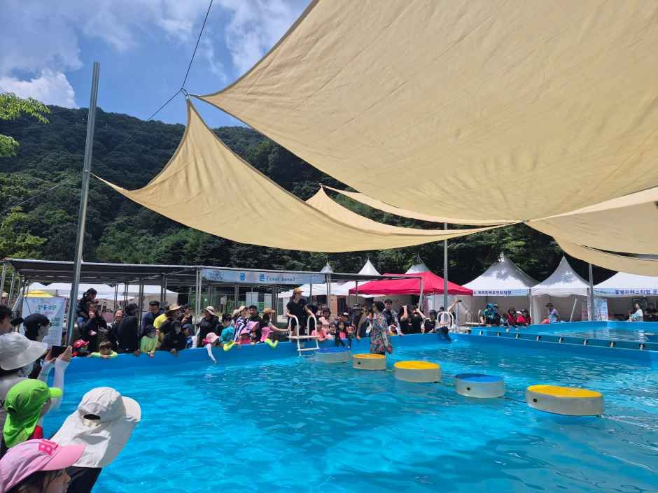 長水クールバレーフェスティバル 2