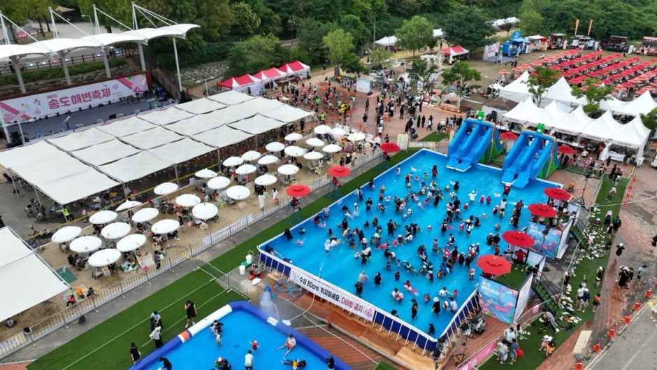 Songdo Beach Festival 6