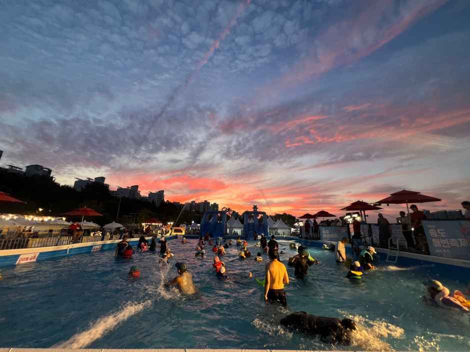 Songdo Beach Festival 8