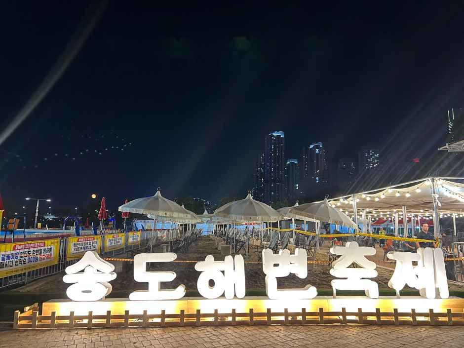 Songdo Beach Festival 5
