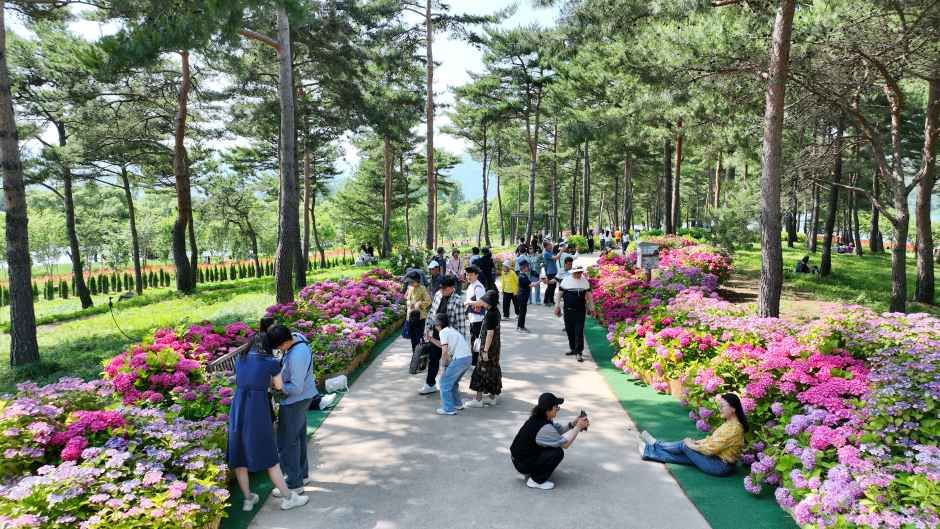 Colorful Garden Jarasum Flower Festa 4