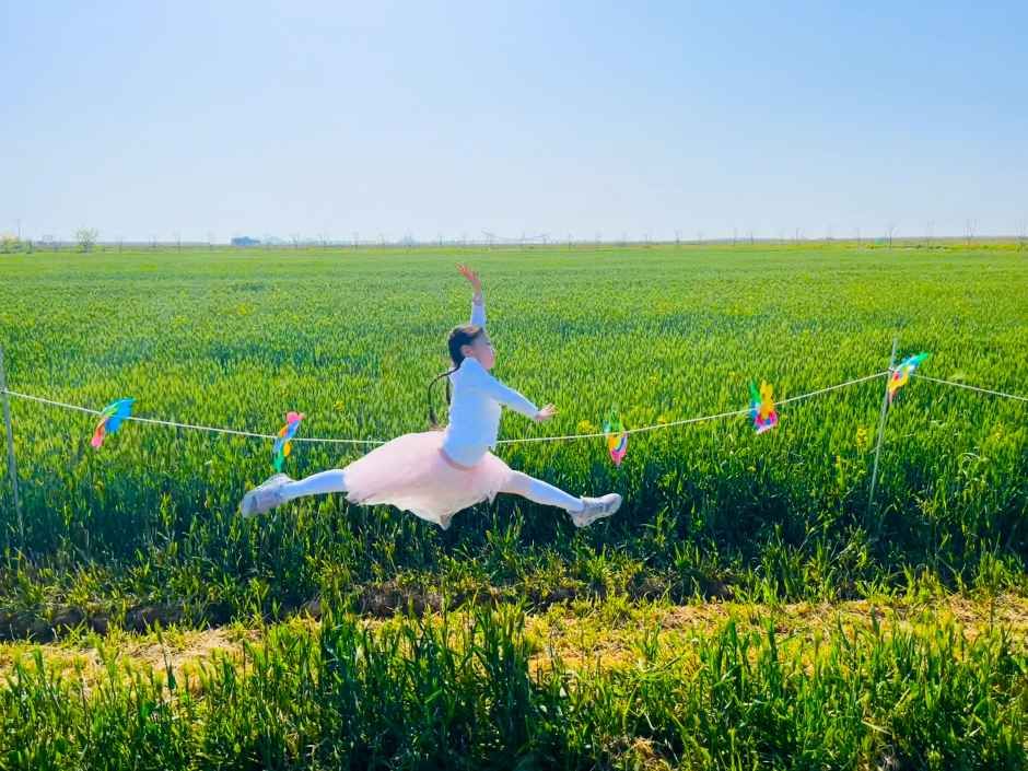 镇峰新万金大麦田节