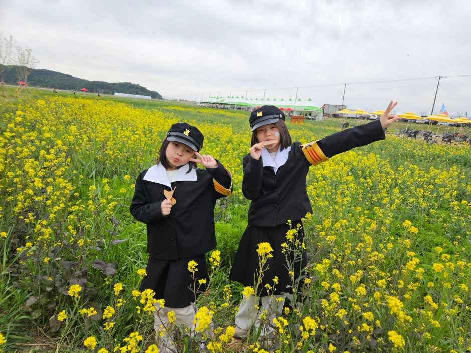 진봉새만금보리밭축제 3
