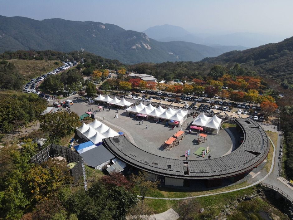 황매산 억새축제 3