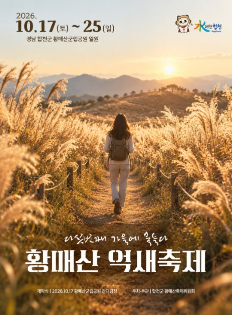 황매산 억새축제 5
