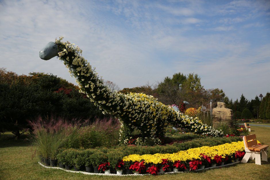 드림파크 국화축제 5