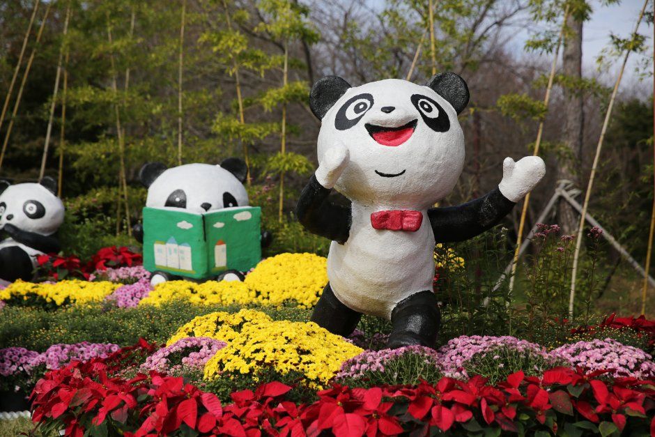 드림파크 국화축제 7
