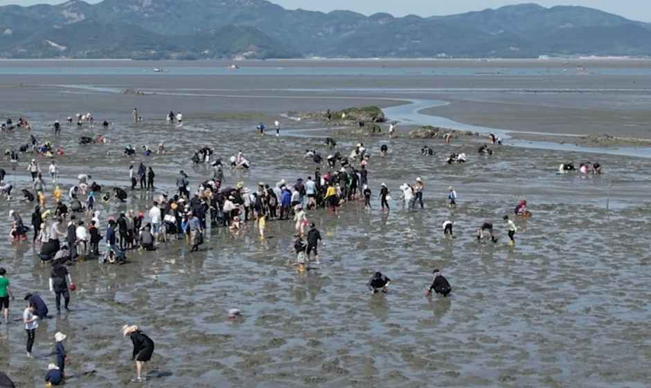 하전바지락 오감체험 페스티벌 4